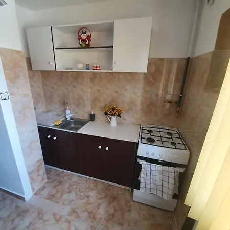 Apartament Alina *
